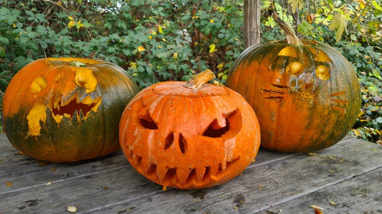 Pumpkin carving at Sissinghurst